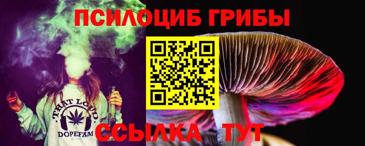 Псилоцибиновые грибы прущие грибы  Галлюциногенные грибы ЛСД  Вход с VPN  купить закладку  Гусиноозёрск 